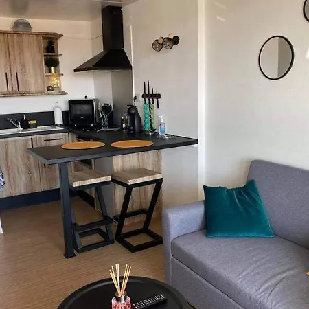 T2 Renove Dans Avec Piscine Apartman